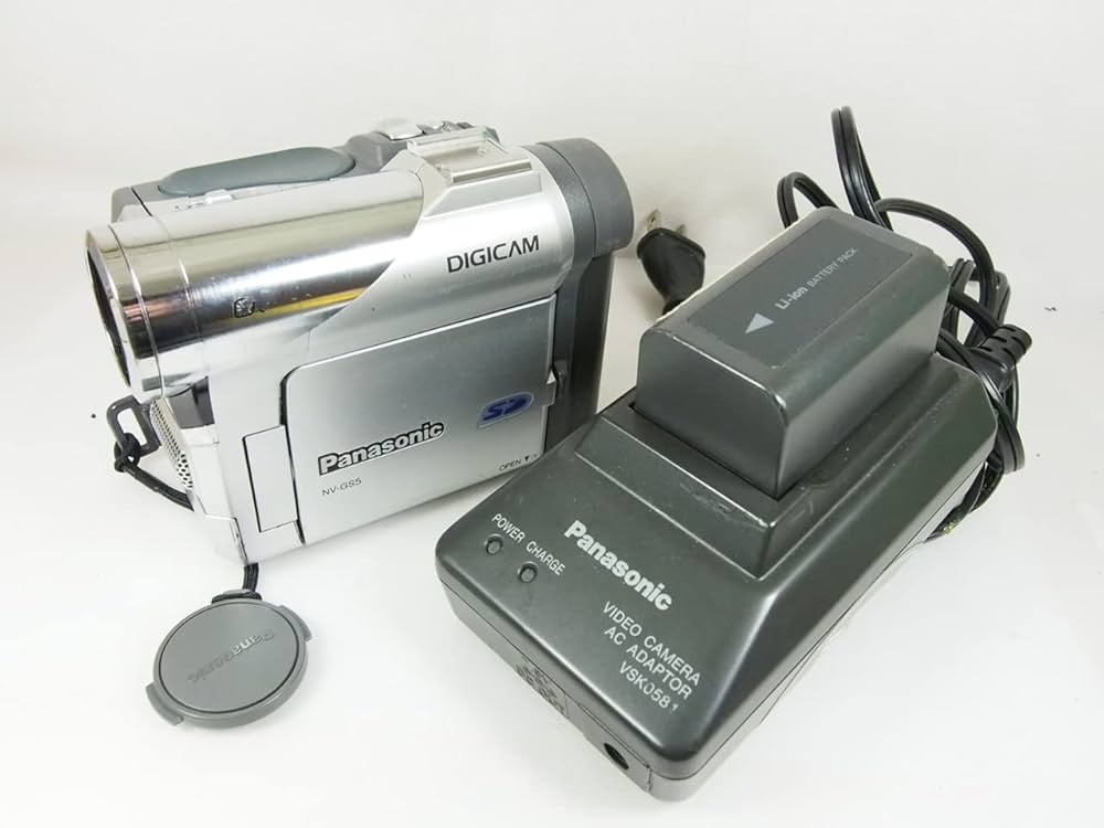 miniDVのダビングに！ Panasonic ビデオカメラ NV-DS5 01 今日は