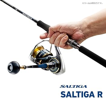 Amazon | ダイワ(DAIWA) ソルティガ R J60S-2 HI | ダイワ(DAIWA