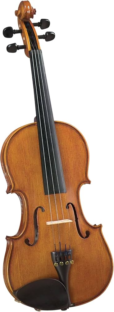 Amazon.com: Cremona SV-175 Premier Student Violin Outfit - 1/4