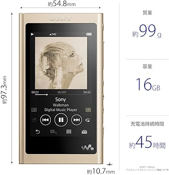 Amazon | ソニー ウォークマン Aシリーズ 16GB NW-A55HN : MP3