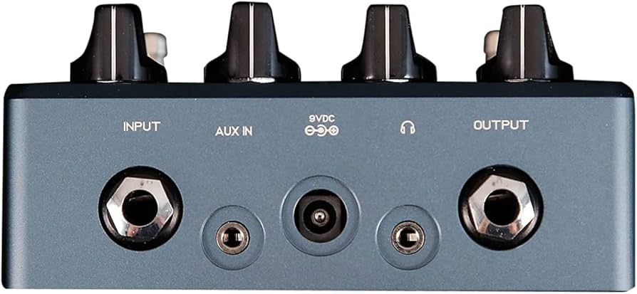 Amazon｜Darkglass Electronics ALPHA OMEGA ULTRA v2 with Aux-In