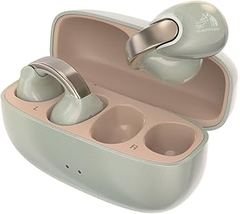 Amazon.co.jp: JVCケンウッド Victor HA-NP1T-GN ワイヤレスイヤホン
