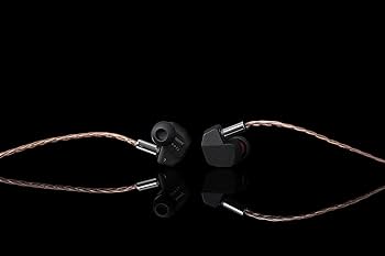 Amazon.com: Final A6000 High-Precision in-Ear Earphones Earbuds