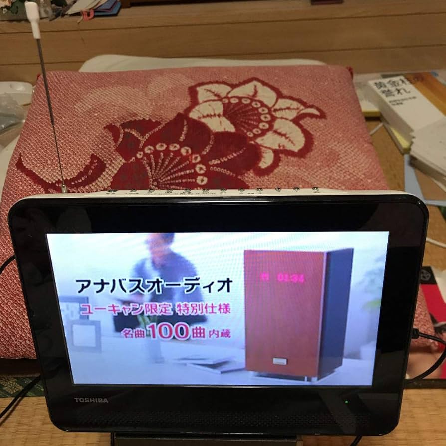 Amazon | TOSHIBA REGZA 防水対応ポータブルDVD SD-P100WP