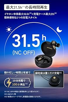 Amazon.co.jp: JVCケンウッド Victor WOOD master ワイヤレスイヤホン