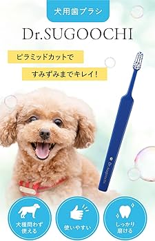 Amazon.co.jp: 【ドクタースゴオチ】ドクターデンタルワン 犬 歯ブラシ