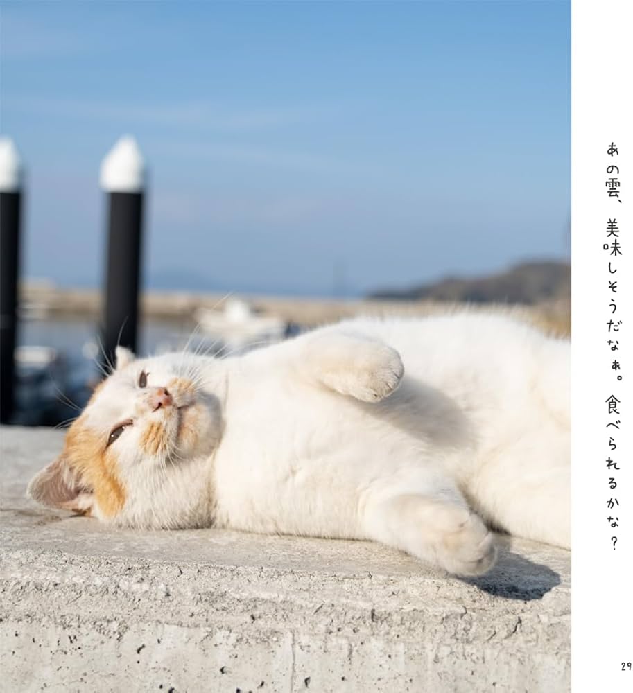 ずっと気まま猫 | あおいとり |本 | 通販 | Amazon