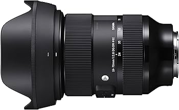 Amazon.co.jp: シグマ(Sigma) レンズ 24-70mm F2.8 DG DN Sony ソニー