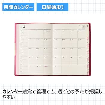 Amazon.co.jp: 9915 4月始まりペイジェムマンスリーグラースB6-i日曜