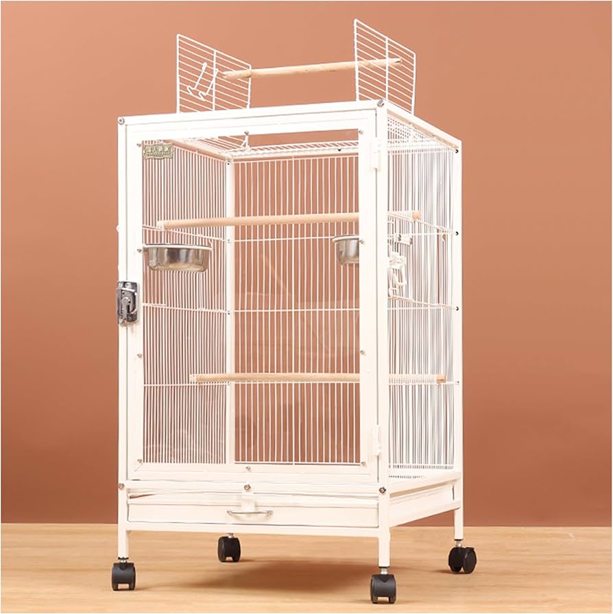 Amazon | FX-SHYQYYMZ クリアアクリル鳥かご 複数飼い大型インコ