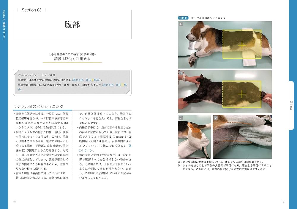 イチからはじめる犬と猫のX線検査 | 堀 あい, 中出哲也 |本 | 通販