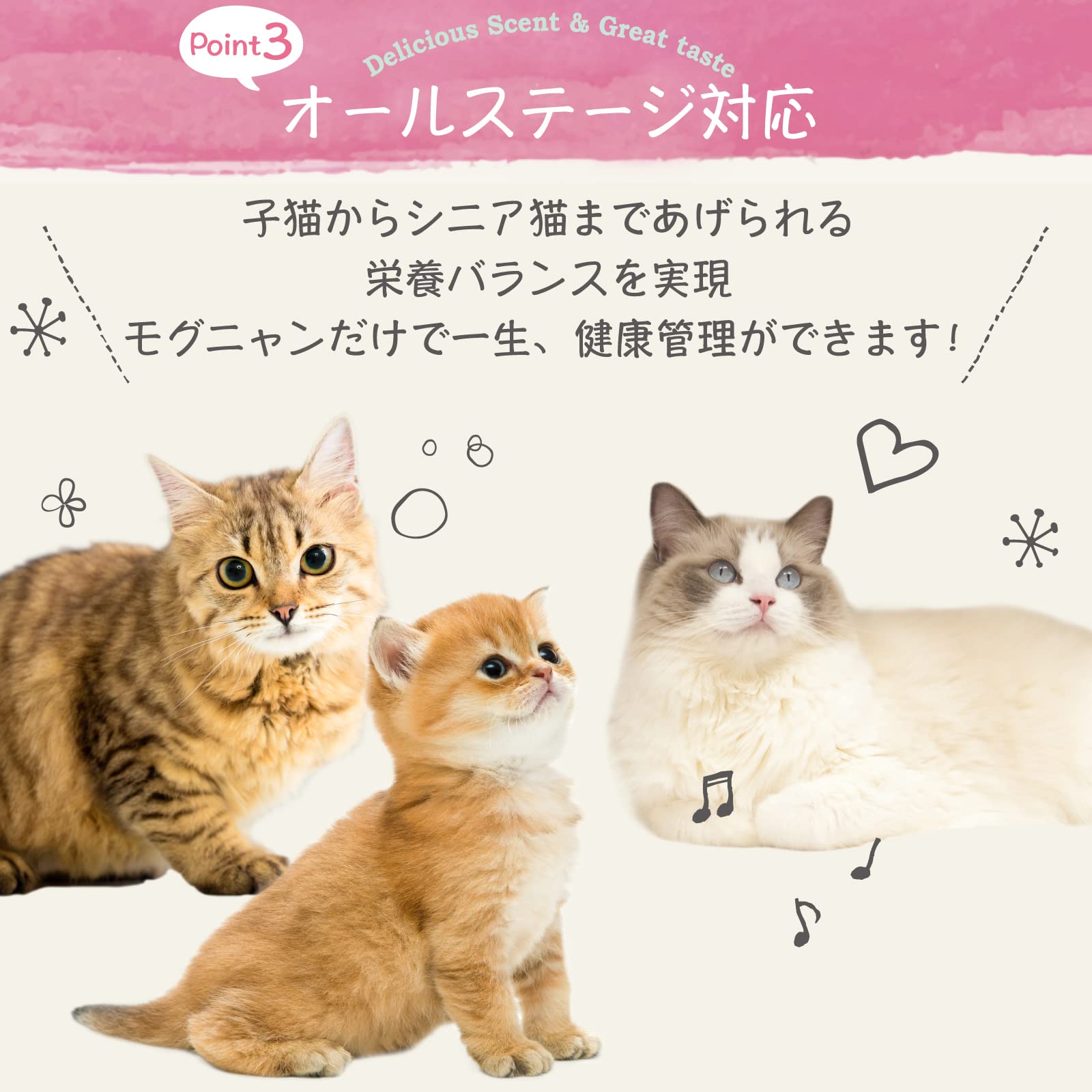 Amazon | モグニャン キャットフード （1.5kg）全猫種 全年齢 対応