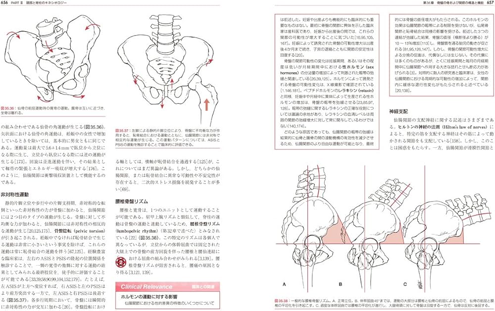 Amazon.co.jp: オーチスのキネシオロジー 身体運動の力学と病態力学