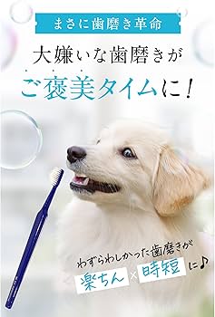 Amazon.co.jp: ［ドクターゲキオチ ］ドクターデンタルワン 犬