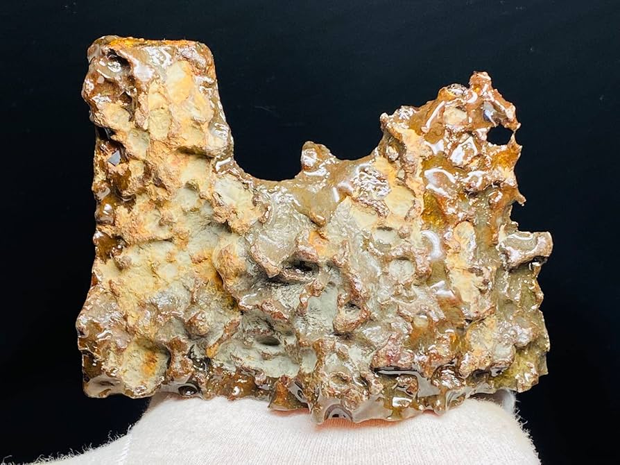 Amazon.co.jp: 【鑑別書付き】 パラサイト隕石 374g 男女兼用 隕石 石