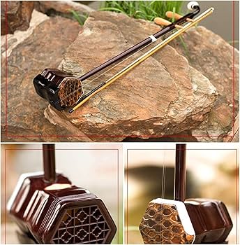 Amazon.co.jp: 二胡楽器 二胡手作りの中国の民族楽器 木製コンサー