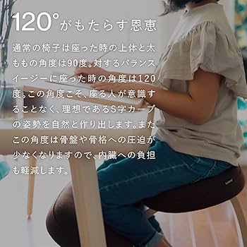 Amazon.co.jp: バランスラボ バランスイージー 通常フレーム 通常箱