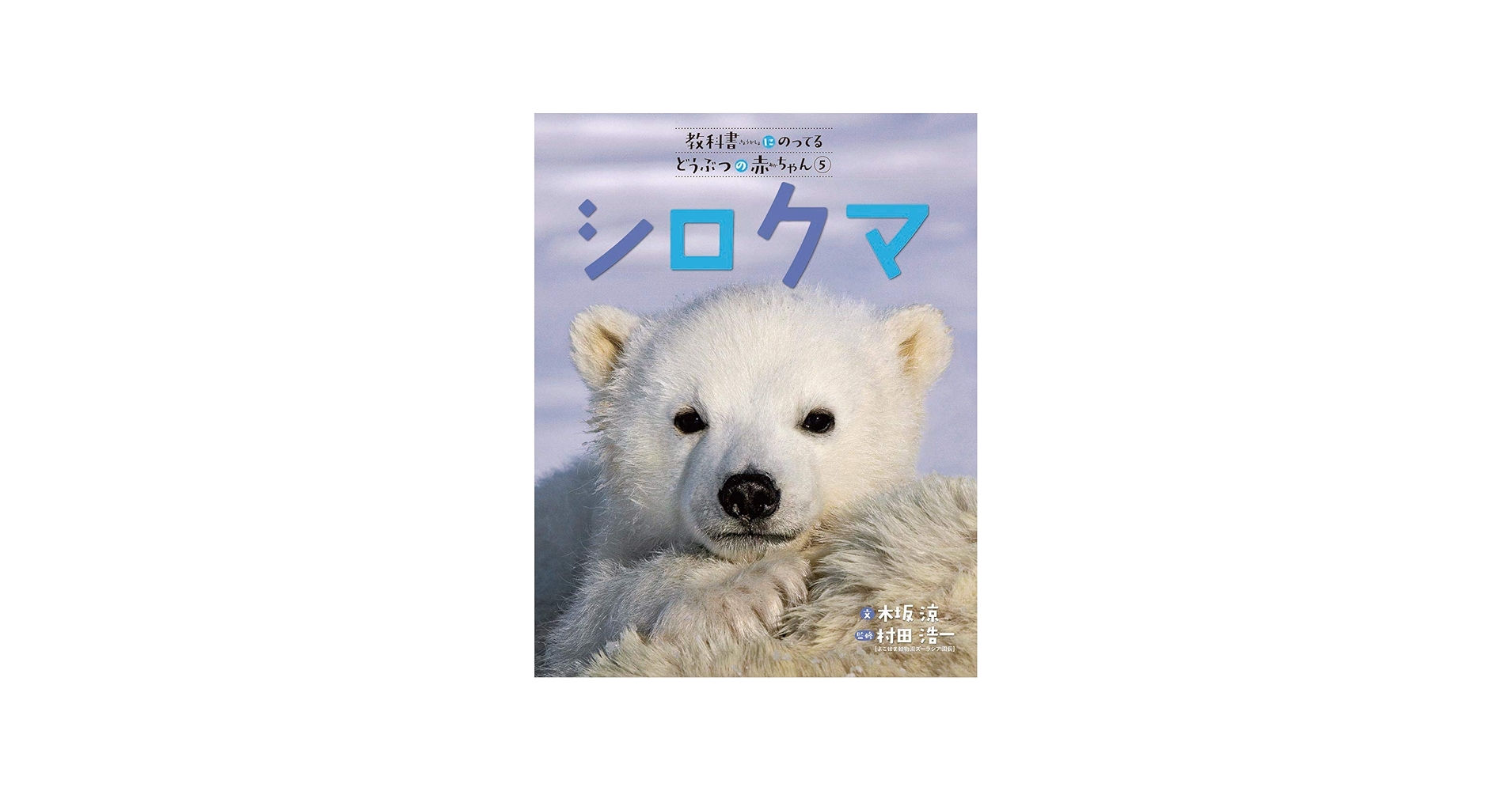 Amazon.co.jp: シロクマ : 木坂 涼, 村田浩一: 本