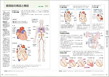 薬がみえる vol.1 第2版 | 医療情報科学研究所 |本 | 通販 | Amazon