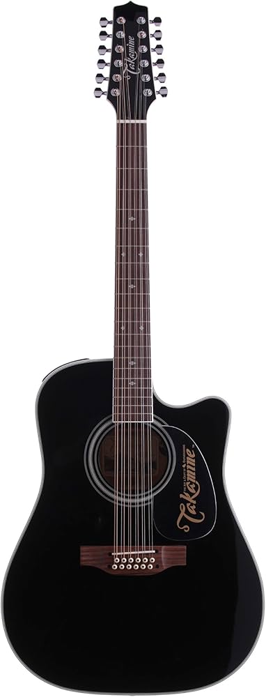Amazon.co.jp: Takamine EF381SC BL エレアコギター ワールド