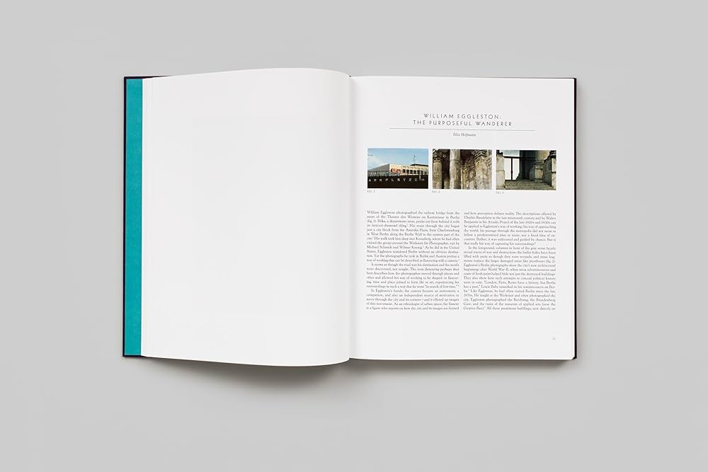 Amazon.co.jp: William Eggleston: Mystery of the Ordinary