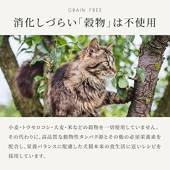 Amazon.co.jp: カナガン キャットフード チキン (1.5kg) ドライフード