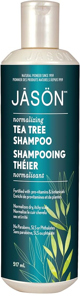 Jason Normalizing Tea Tree Shampoo, 517ml : Amazon.ca: Beauty