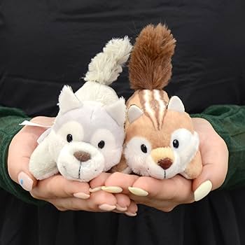 71SSSDc6q7L._AC_UF350,