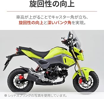 Amazon | デイトナ(Daytona) バイク用 リアサスペンション グロム(13
