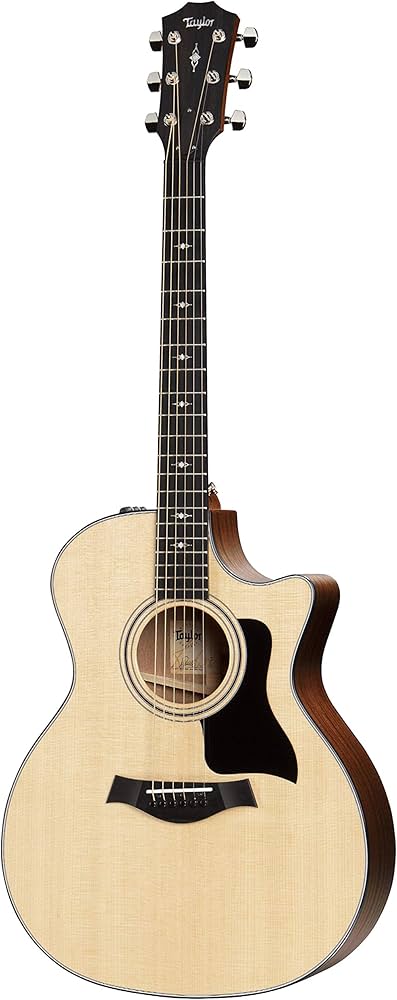 Amazon | Taylor 314ce エレアコギター テイラー | スチール弦
