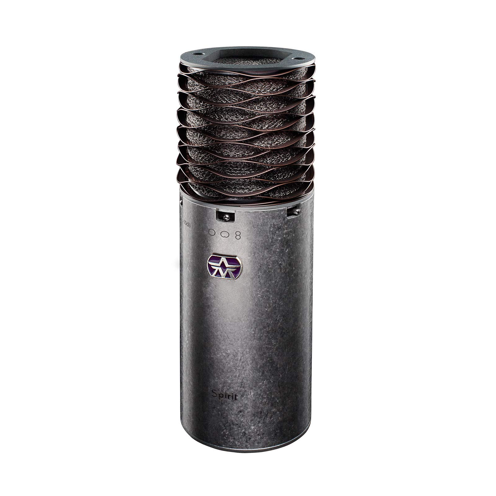 Amazon.com: Aston Microphones Spirit Large Diaphragm Multi-Pattern