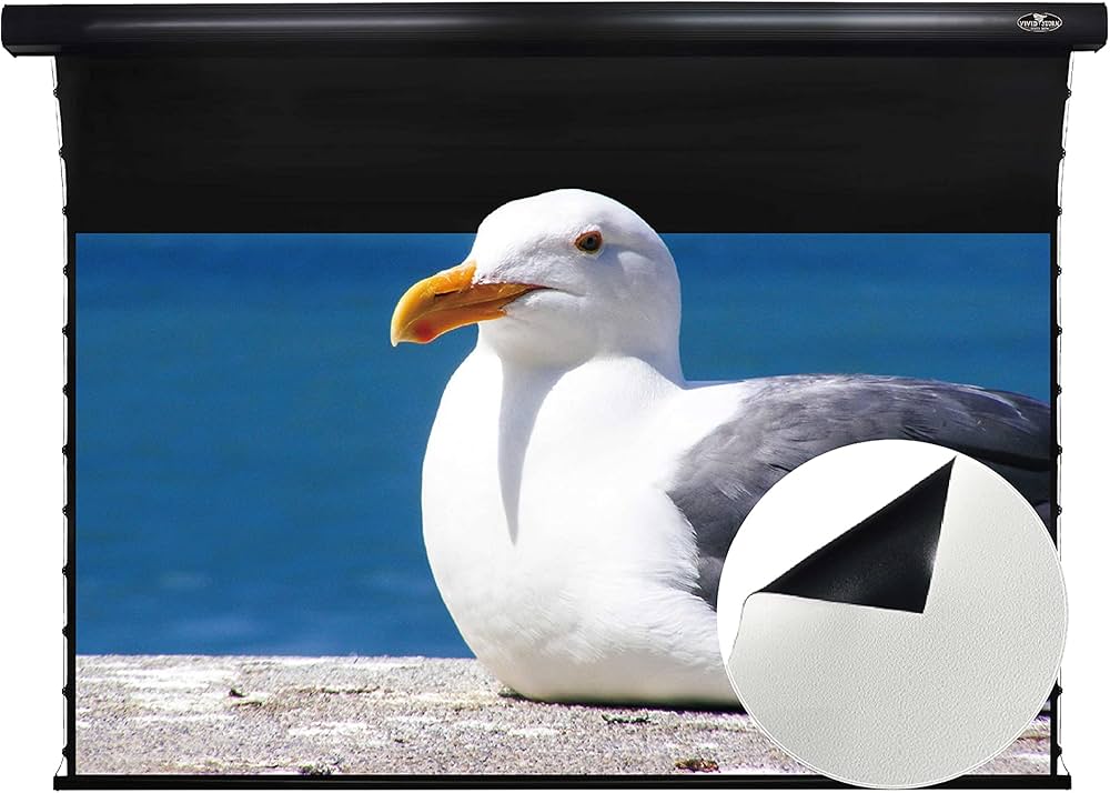 Amazon | スクリーン 長焦点プロジェクター 84インチ 天吊り式