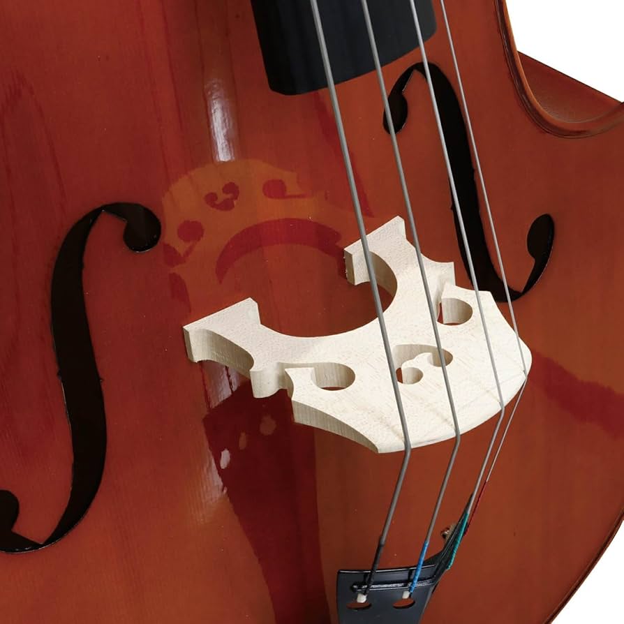 Amazon | STENTOR (スタンター) コントラバス ウッドベース 弦バス