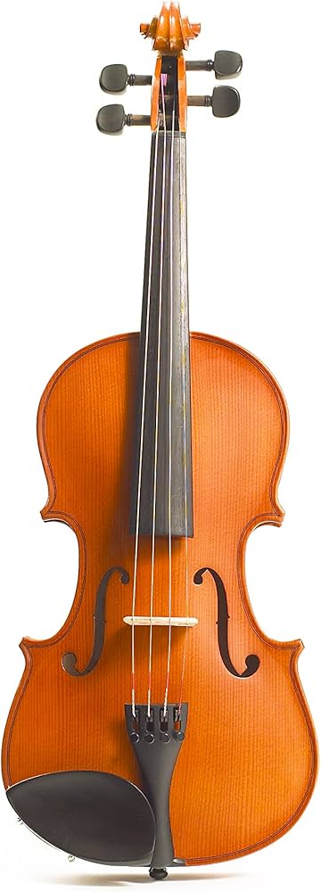 Amazon.com: Stentor 1560A Stentor Conservatoire II Violin, 4/4
