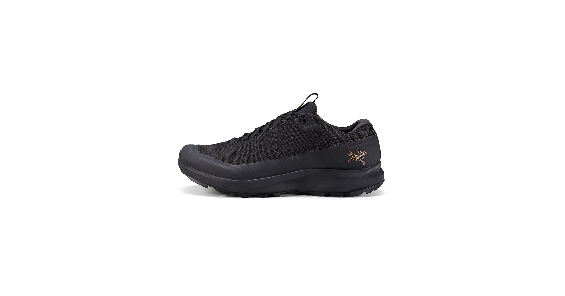 Amazon | エアリオス FL 2 ゴアテックス メンズ | ARC'TERYX