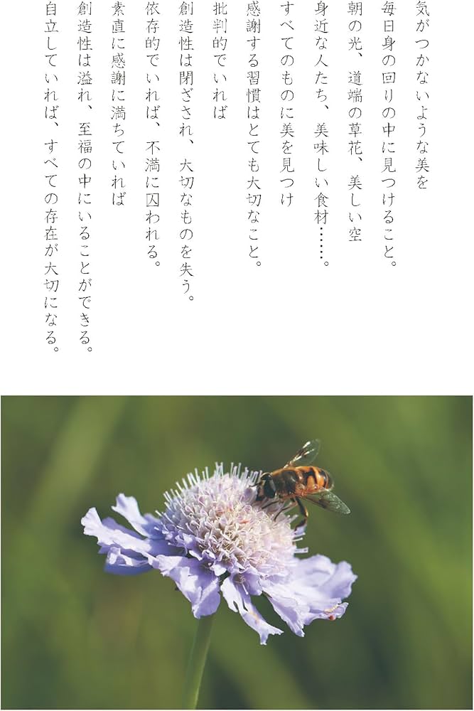 光の魂たち 山岳編序章 人の御魂を磨く聖なる山々 : 森井 啓二: Amazon