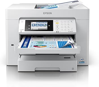 Amazon.co.jp: 【Cashback Campaign in Progress】Epson Printer A3