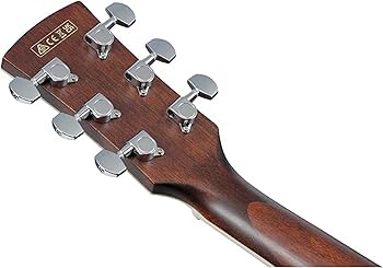 Amazon.com: Ibanez Artwood AC340CE - Open Pore Natural : Musical