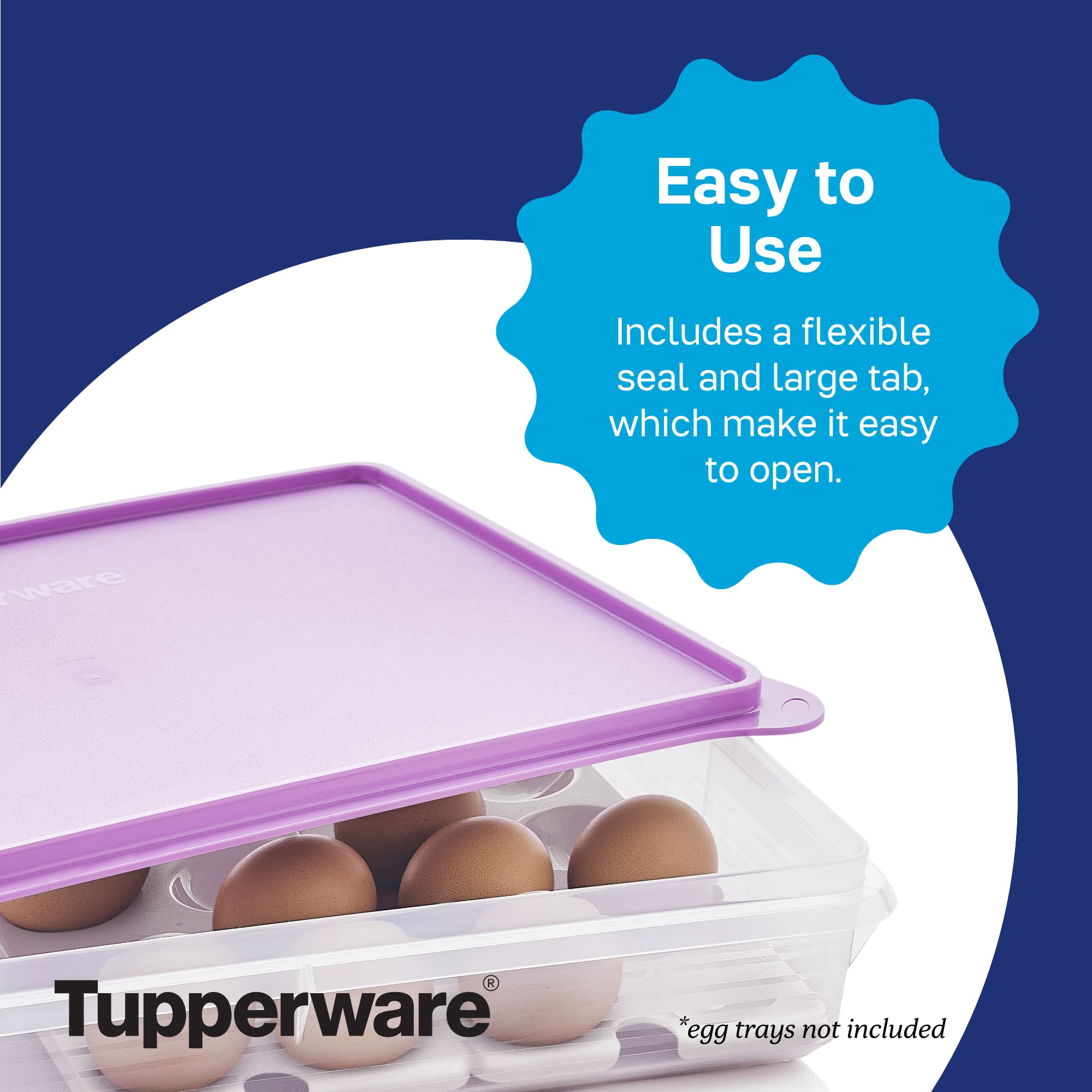 Amazon｜Tupperware Brand Snack-Stor 大型長方形食品保存容器 + 蓋