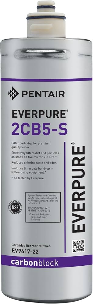 Amazon.com: Everpure EV961722 2CB5-S Filter Cartridge: Replacement