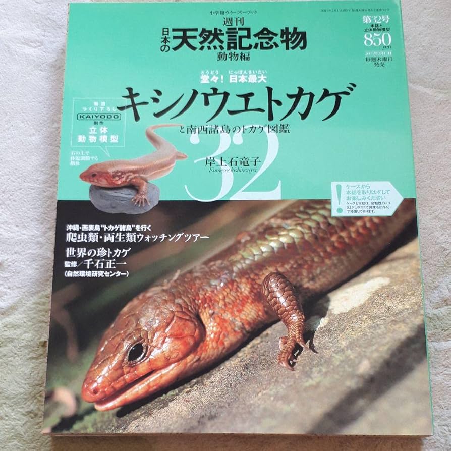 Amazon.co.jp: 週刊日本の天然記念物 動物編 キシノウエトカゲ
