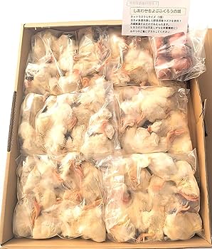 Amazon.co.jp: フクロウ・タカ・ハヤブサ等の餌 冷凍ヒヨコ60羽入り