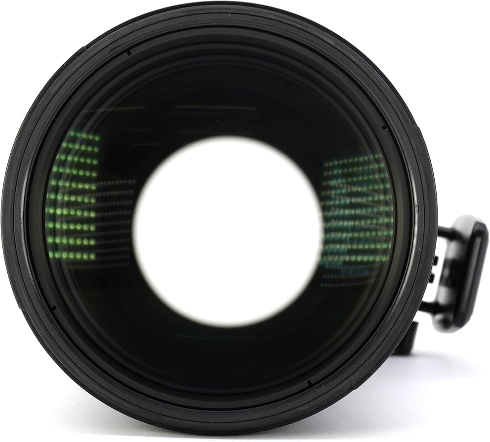 Amazon.co.jp: ニコン AF-S NIKKOR 500mm f/5.6E PF ED VR : 家電＆カメラ