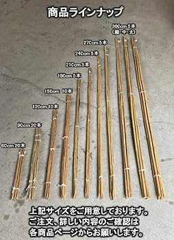 71lgVjKwGRL._AC_UF350,