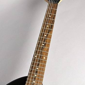 Amazon | FERNANDES フェルナンデス エレキギター ZO-3 '19 BLK W/SC