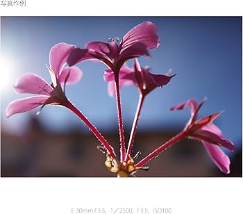 Amazon.co.jp: SONY 単焦点レンズ E 30mm F3.5 Macro ソニー Eマウント