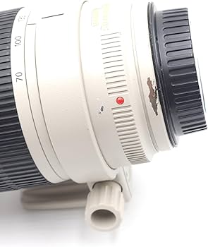 Amazon.com : Canon EF 70-200mm f/2.8L IS II Telephoto Zoom Lens