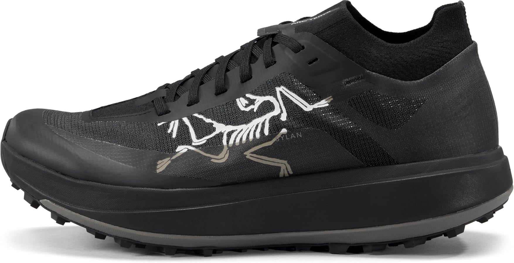 Amazon.com: Arc'teryx Sylan Pro Shoe Men's | Breathable Mountain