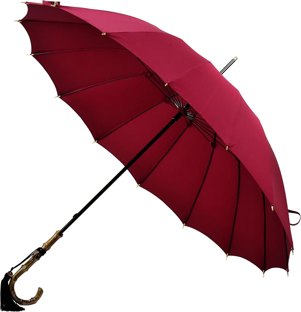 Amazon | 傘 レディース 長傘 前原光榮商店 カーボン 16本骨 高級 雨傘