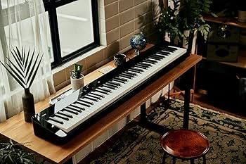 Amazon | CASIO カシオ/PX-S5000BK ブラック Privia (プリヴィア) 電子